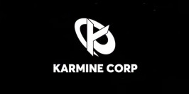La Karmine Corp aurait son équipe Valorant pour le VRL France