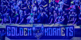 Une journée avec les Golden Hornets, les ultras de Vitality