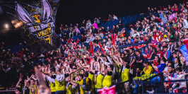 Team Vitality met en pause son académie Vitality.Bee et quitte la LFL