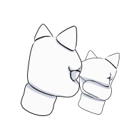 Gants de Knuckles