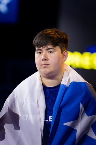 Reysbull